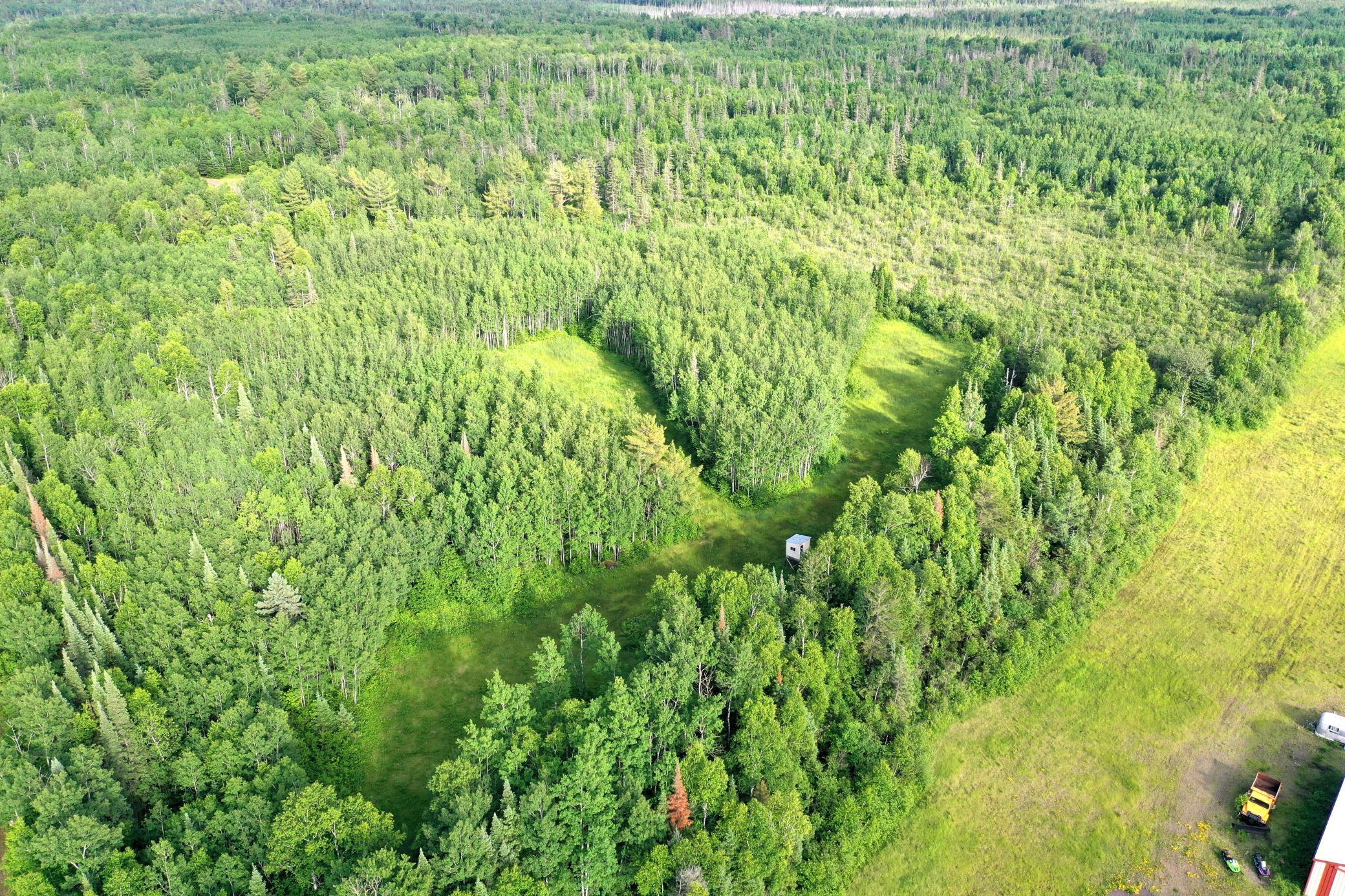 3602 Moose Ridge Road Isabella, MN 55607 - Photo 4 of 66