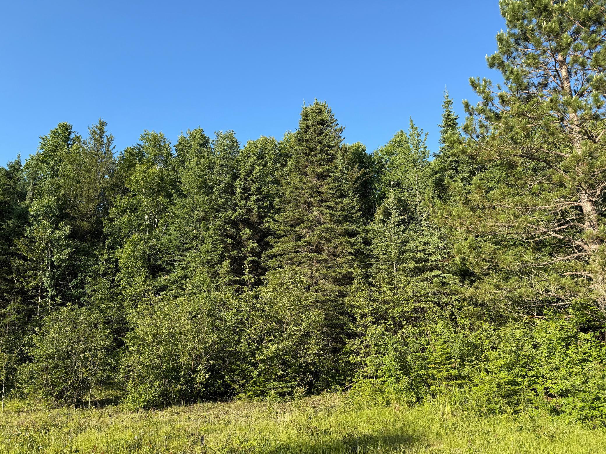 3602 Moose Ridge Road Isabella, MN 55607 - Photo 43 of 66