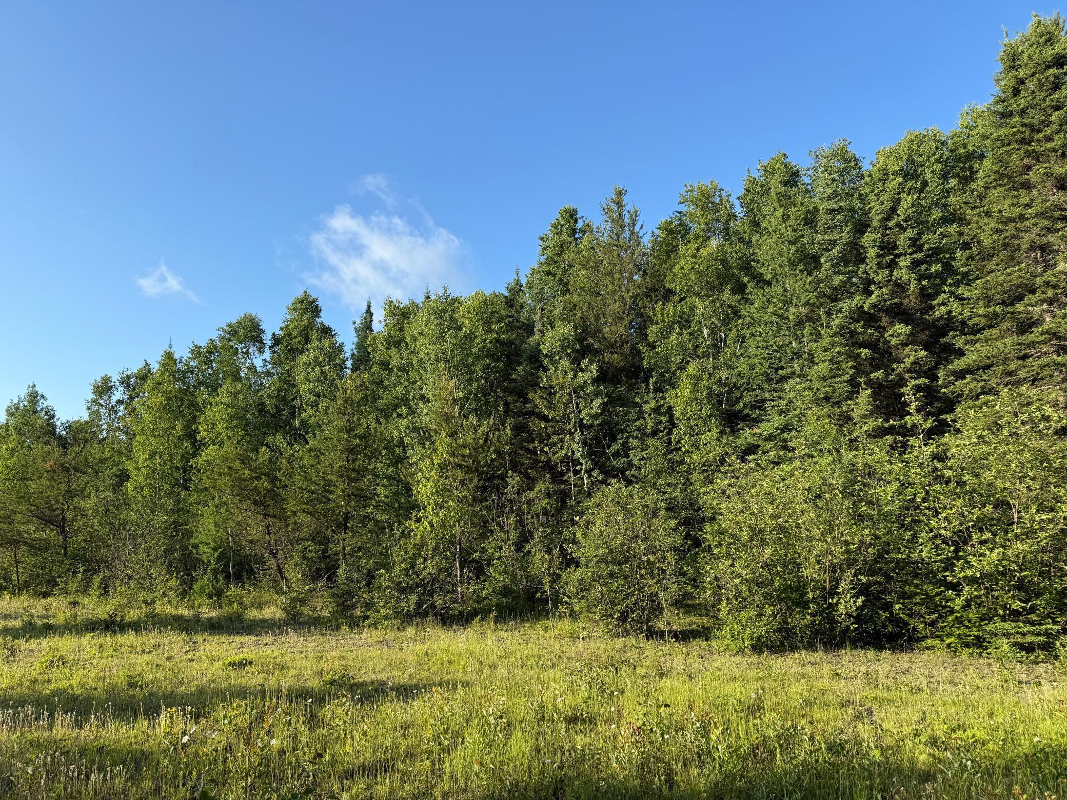 3602 Moose Ridge Road Isabella, MN 55607 - Photo 44 of 66