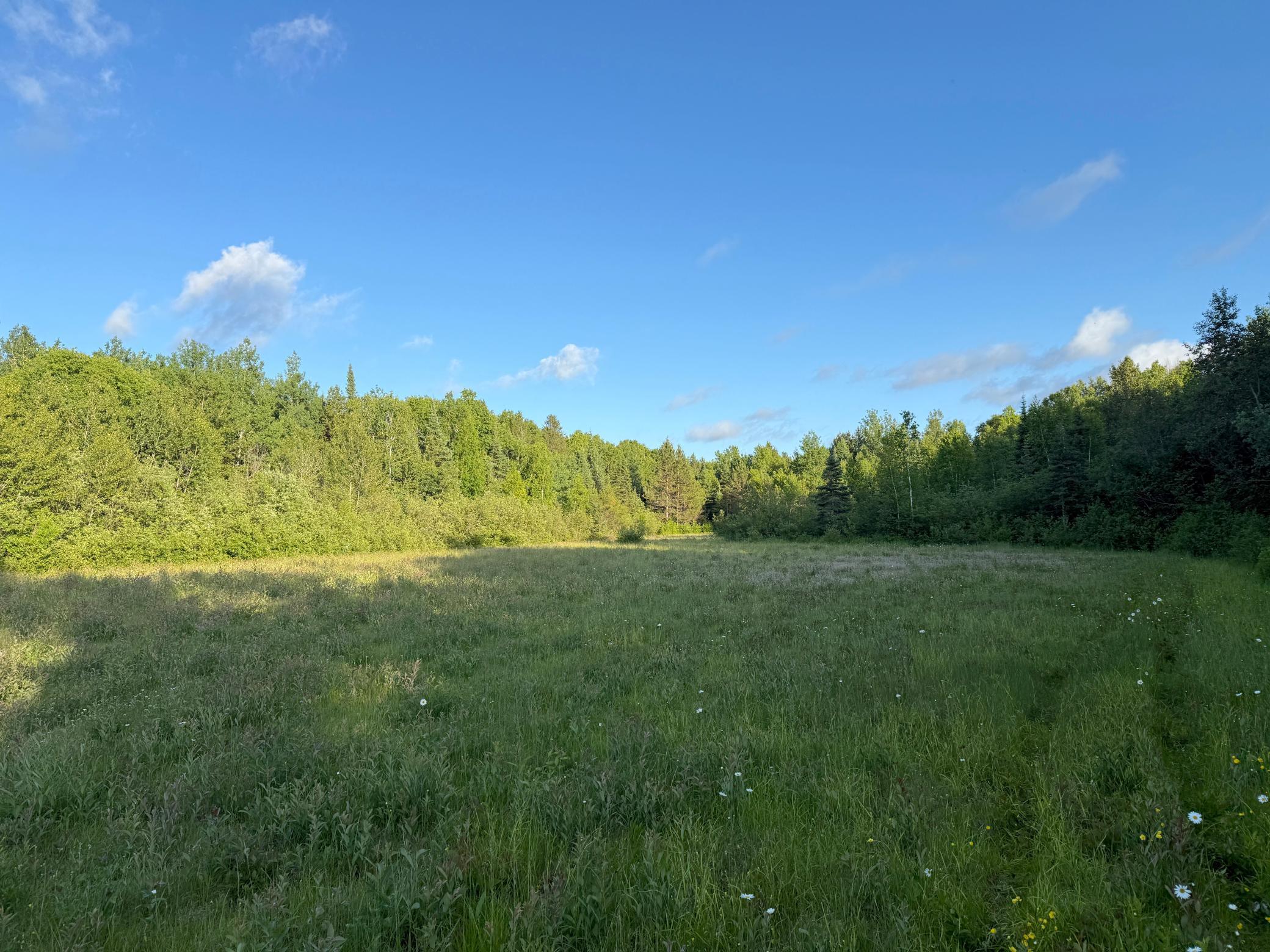 3602 Moose Ridge Road Isabella, MN 55607 - Photo 61 of 66