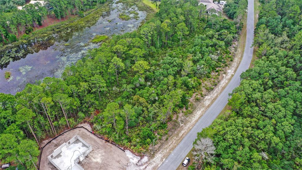 5 Persimmon Street Eustis, FL 32736 - Photo 3 of 15
