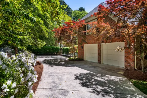 a view of a yard with plants and a large tree