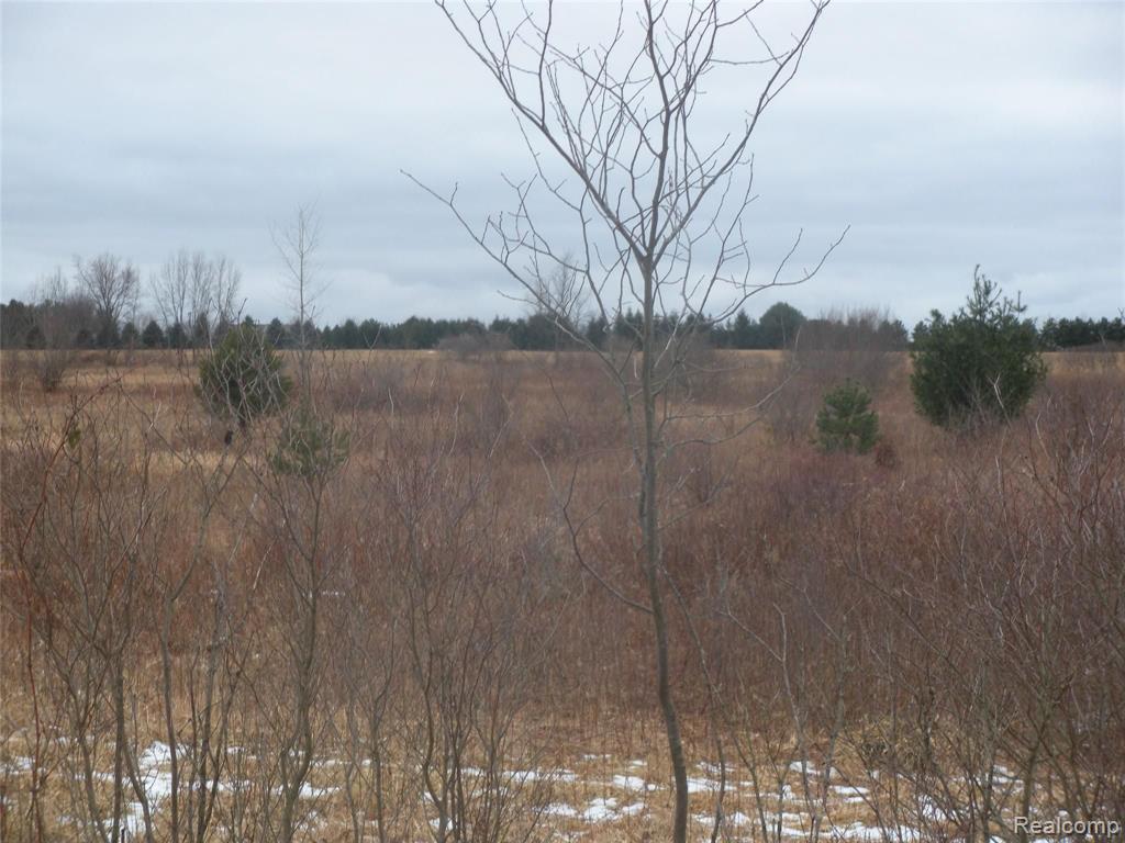 A & B A & B Rich Road Mayville, MI 48744 - Photo 5 of 14