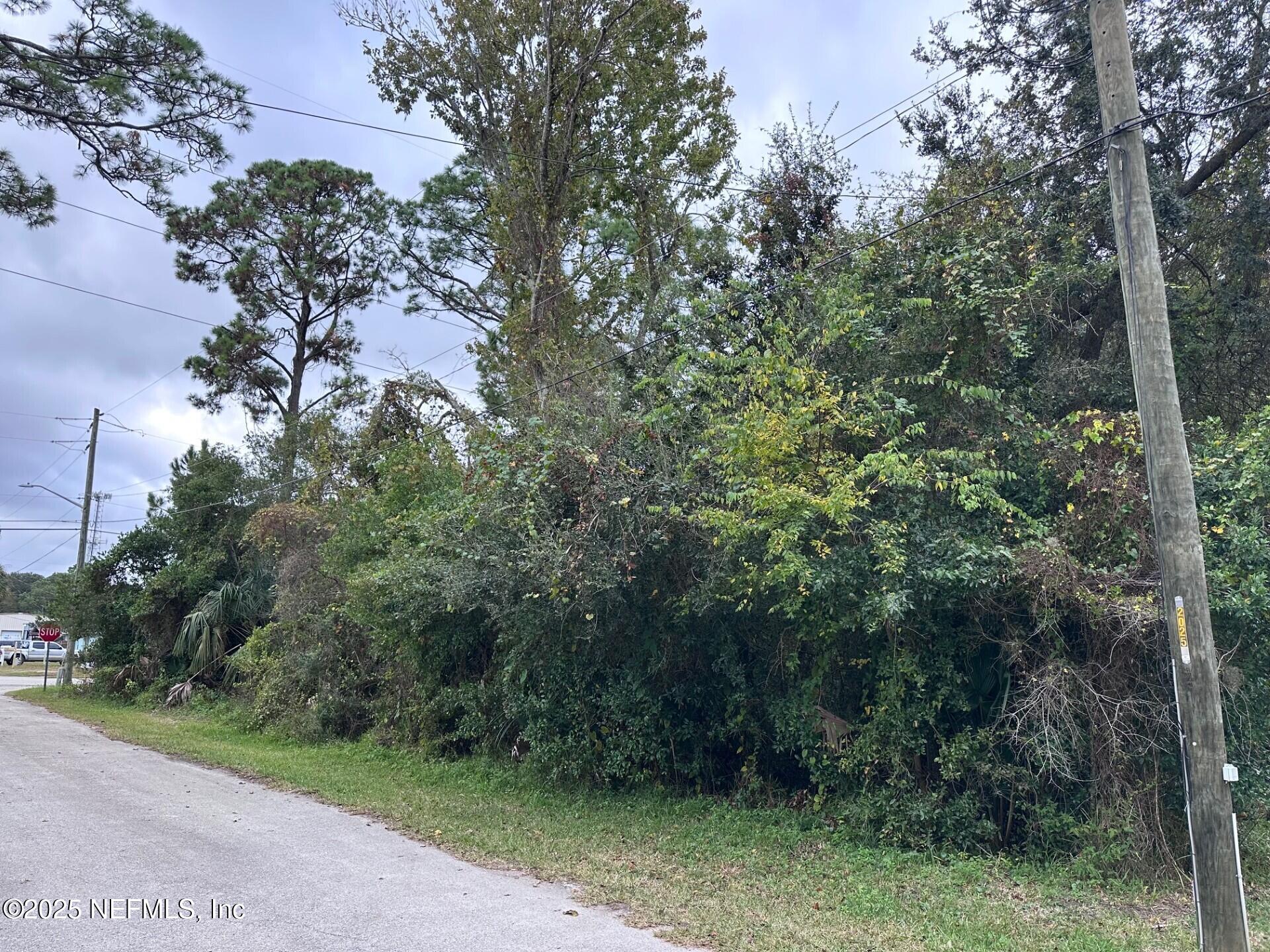 0 West Dutton Island Road East Atlantic Beach, FL 32233 - Photo 3 of 8 a view of a forest filled with trees
