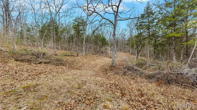 $950,000 | 3700 State Rd V, De Soto, MO 63020