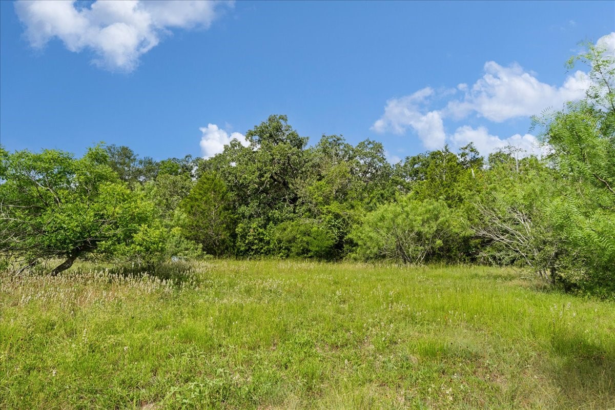 2845 Boehnke Road Muldoon, TX 78949 - Photo 28 of 39 a view of a garden
