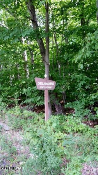 Lot 303 Sawmill Road Lake Ariel, PA 18436 - Photo 8 of 8