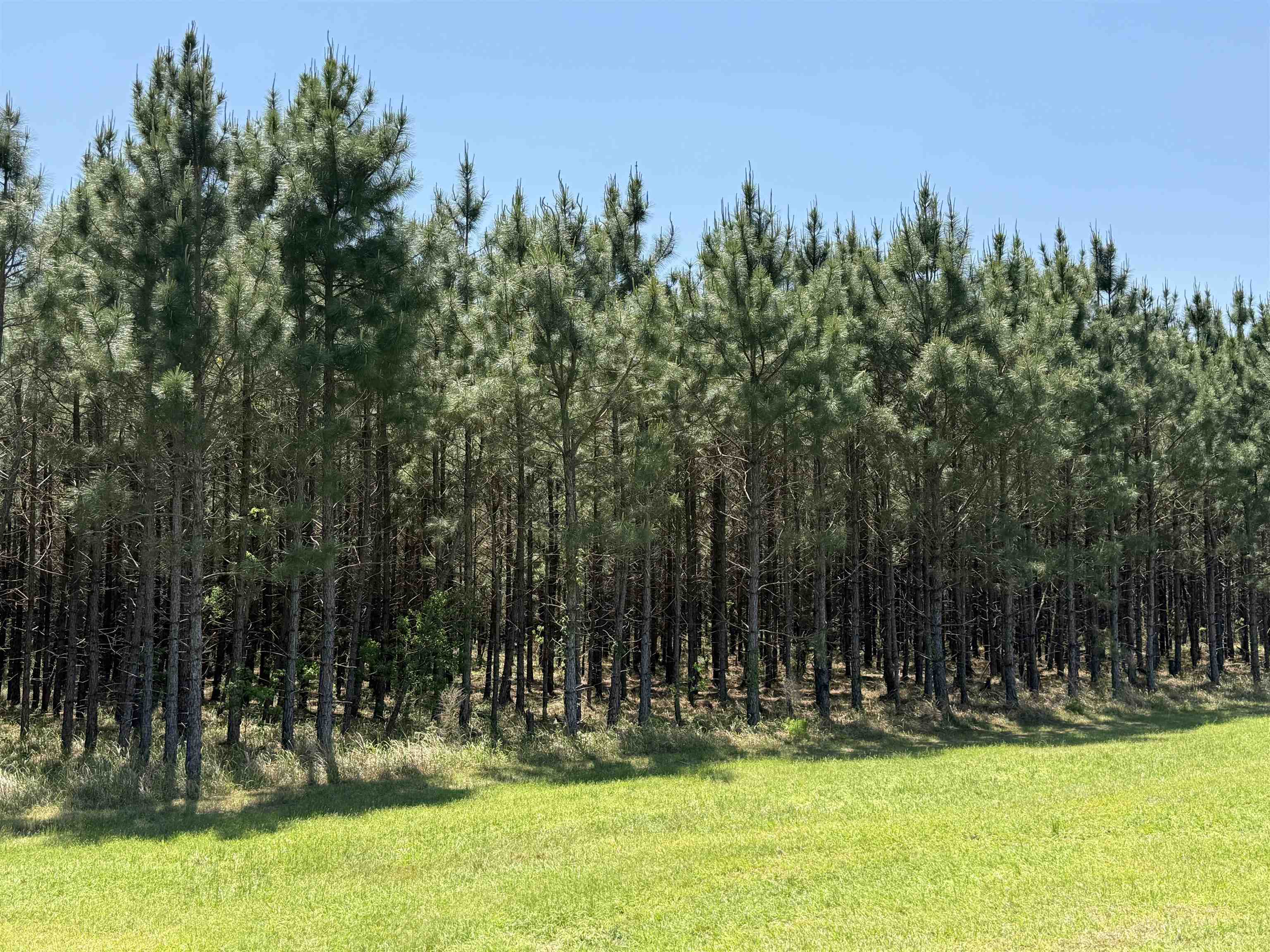 87 County Road 87 Elberta, AL 36530 - Photo 13 of 66