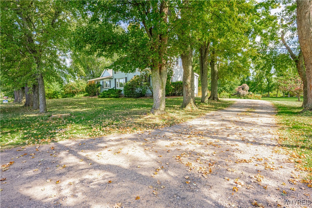 2643 County Line Road Ridgeway, NY 14103 - Photo 2 of 34