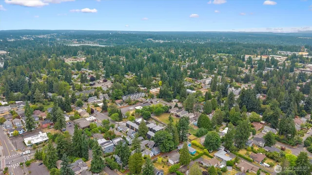 an aerial view of forest