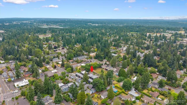 an aerial view of forest