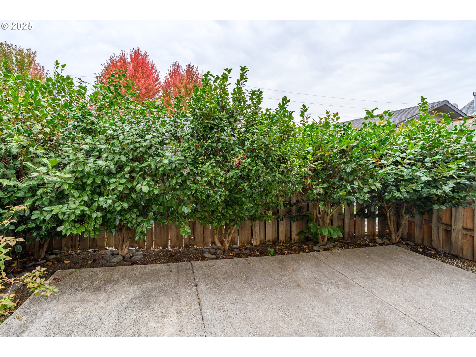 1306 Parkside Lane Newberg, OR 97132 - Photo 39 of 48 a backyard of a house with lots of green space