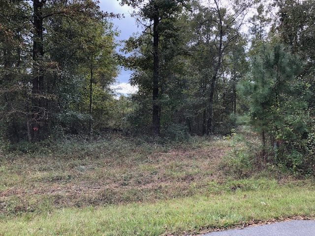 0 Cedar Drive Cochran, GA 31014 - Photo 10 of 11