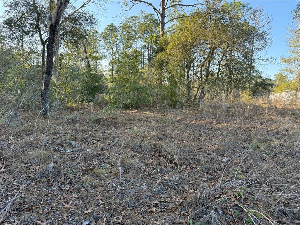 0 Southwest 165th Avenue Road Ocala, FL 34481 - Photo 1 of 1 Gallery Image 1