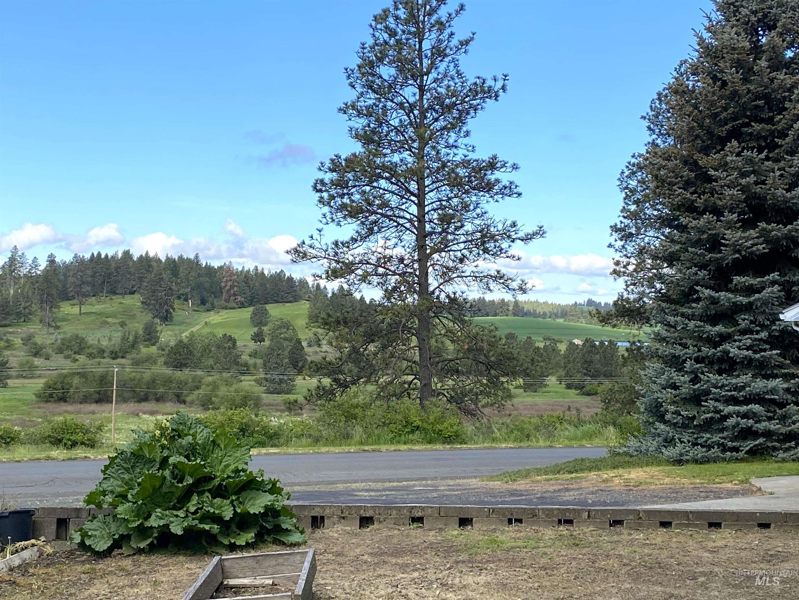 310 Larch Street Potlatch, ID 83855 - Photo 48 of 50