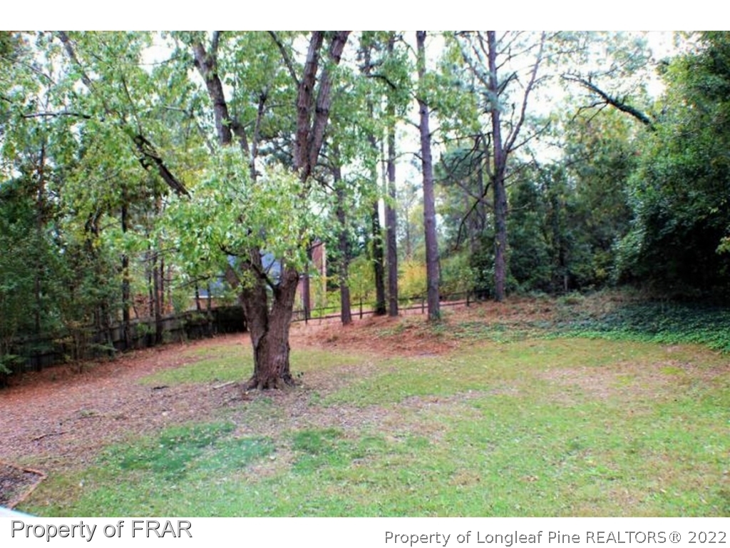 245 Fieldcrest Road Southern Pines, NC 28387 - Photo 20 of 26 a backyard of a house with lots of green space