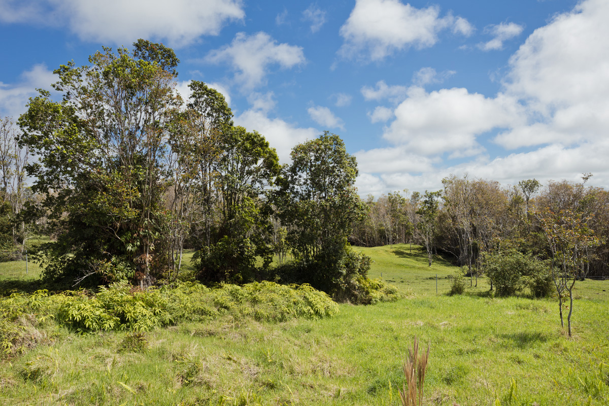 18-4278 Luna Ikena Road Mountain View, HI 96771 - Photo 30 of 30