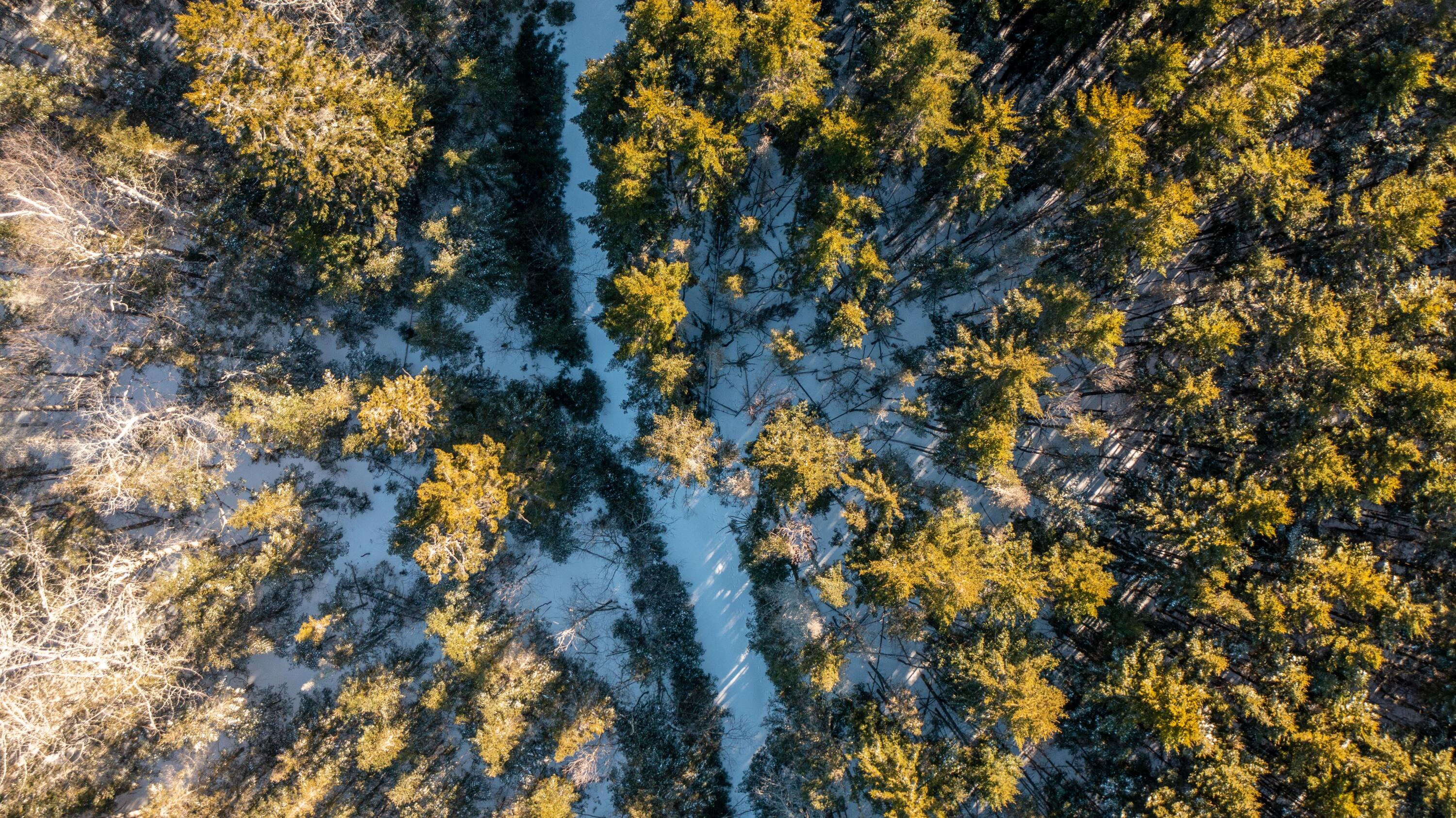 Lot #4 Nepp Point Road Roque Bluffs, ME 04654 - Photo 58 of 62 Lot 4 Nepp Point Rd, Roque Bluffs (32 of