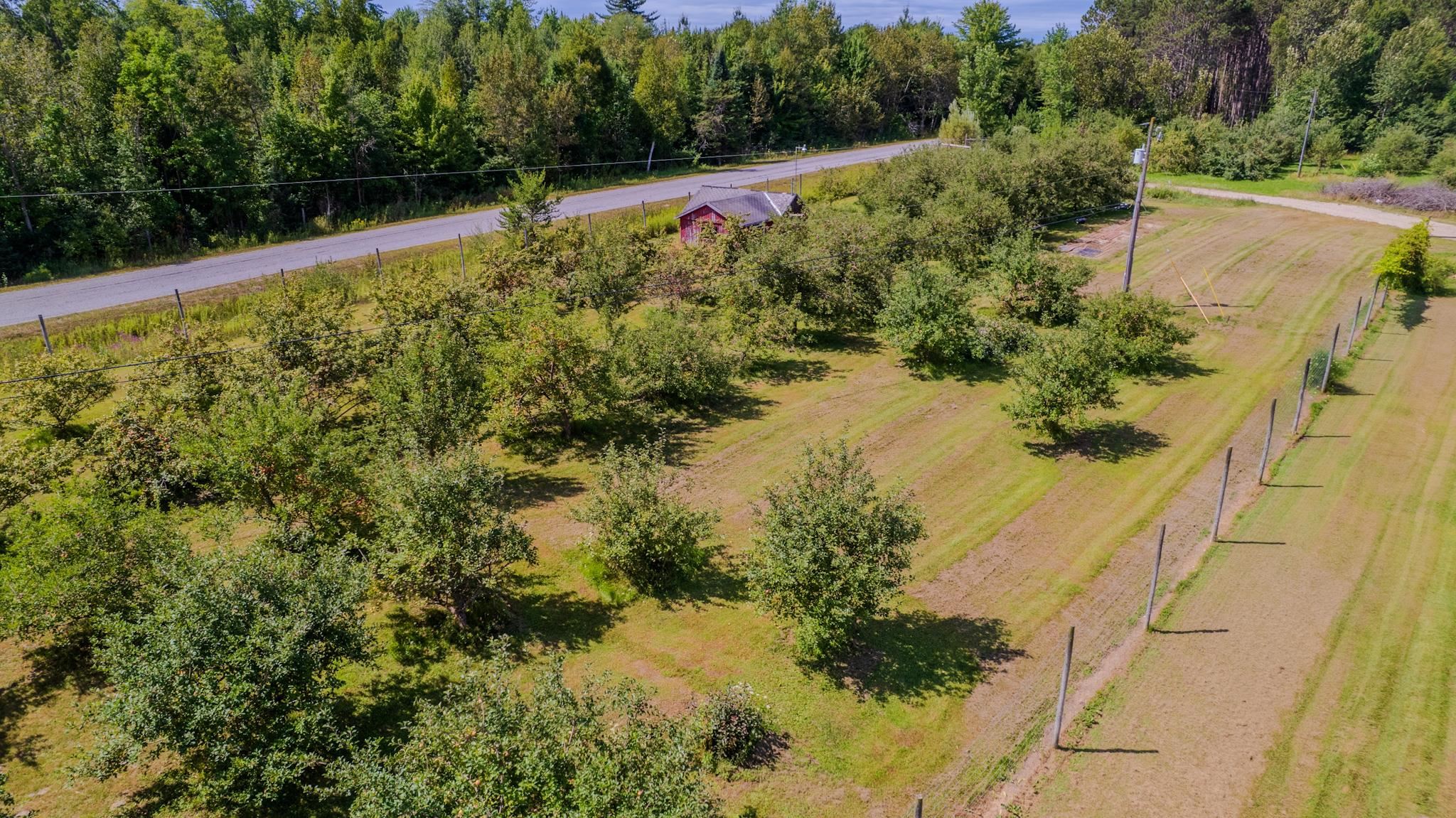 354 Ritchie Road Gladwin, MI 48624 - Photo 40 of 61