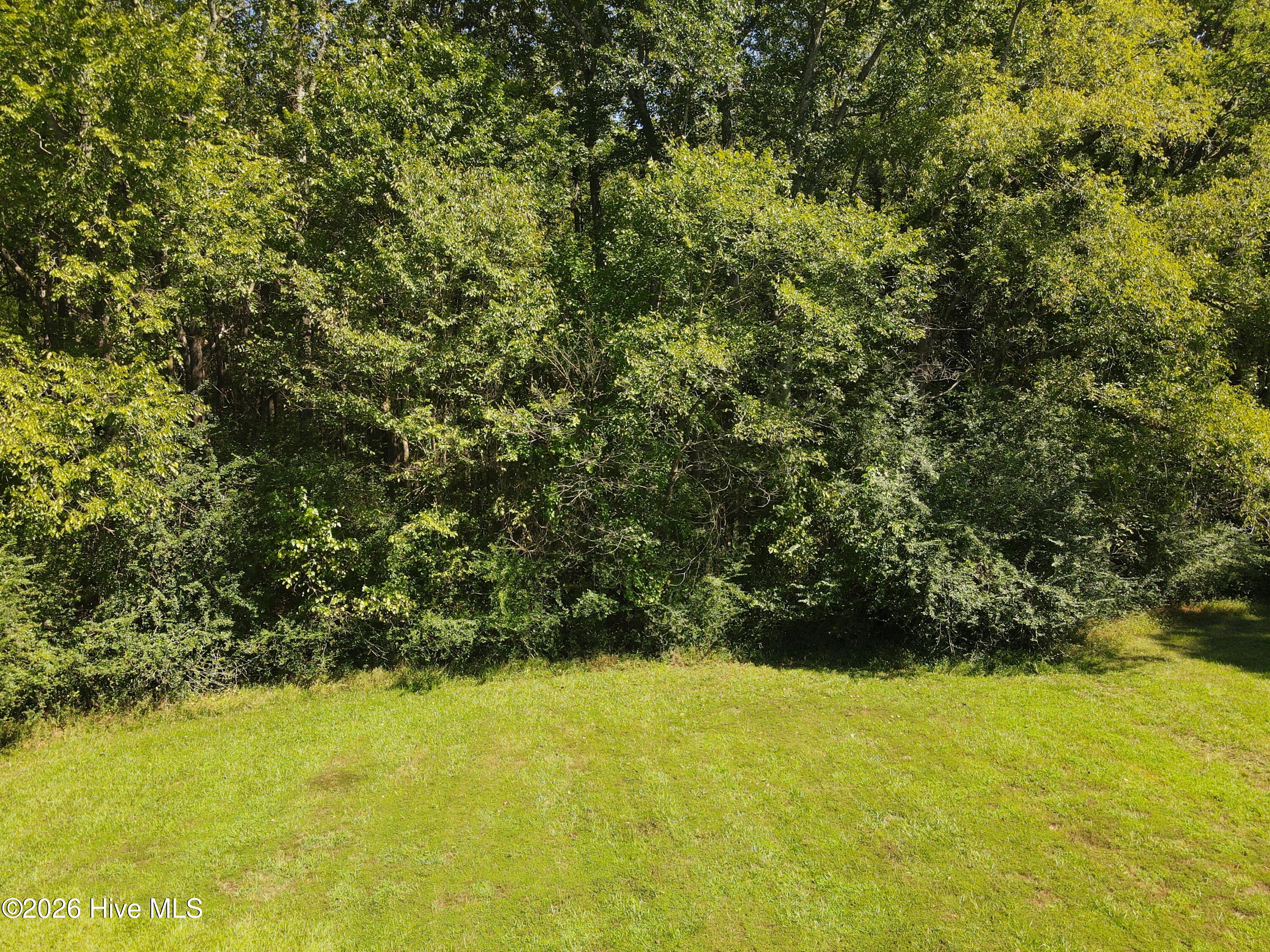 Tbd Bryantown Road Jackson, NC 27845 - Photo 2 of 7 DJI_0438