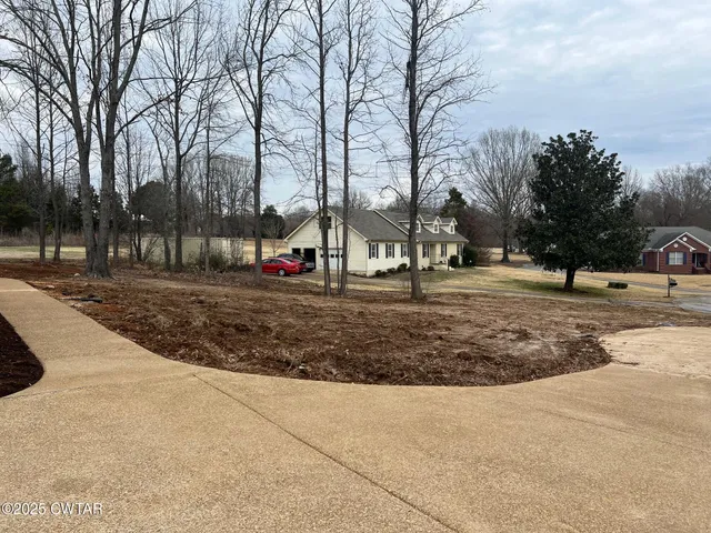 a view of road with large trees