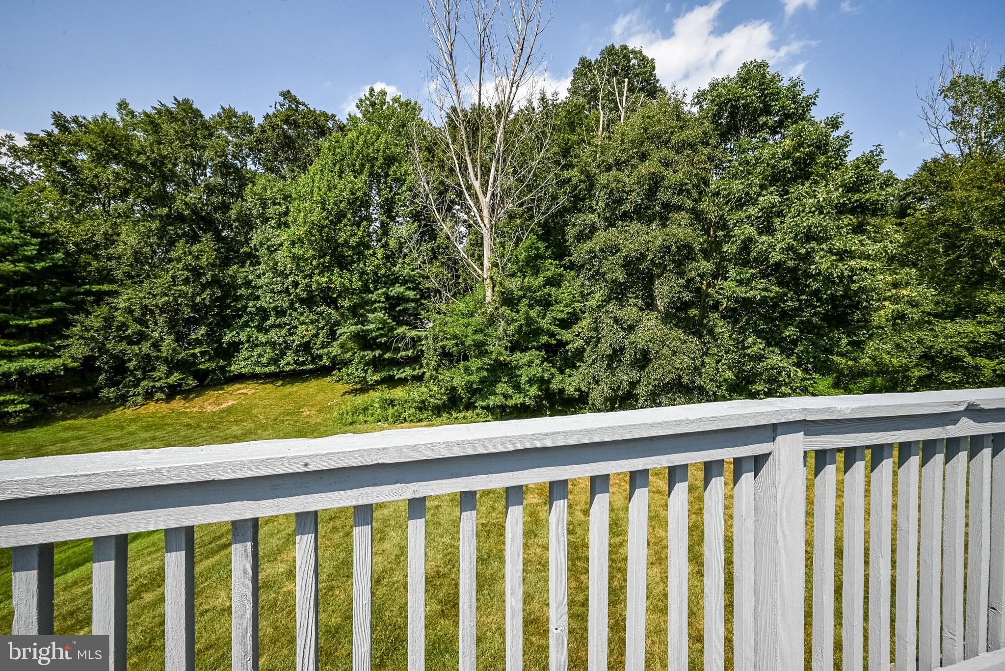 100 Hockessin Valley Falls Road Hockessin, DE 19707 - Photo 29 of 33 Tree Lined View