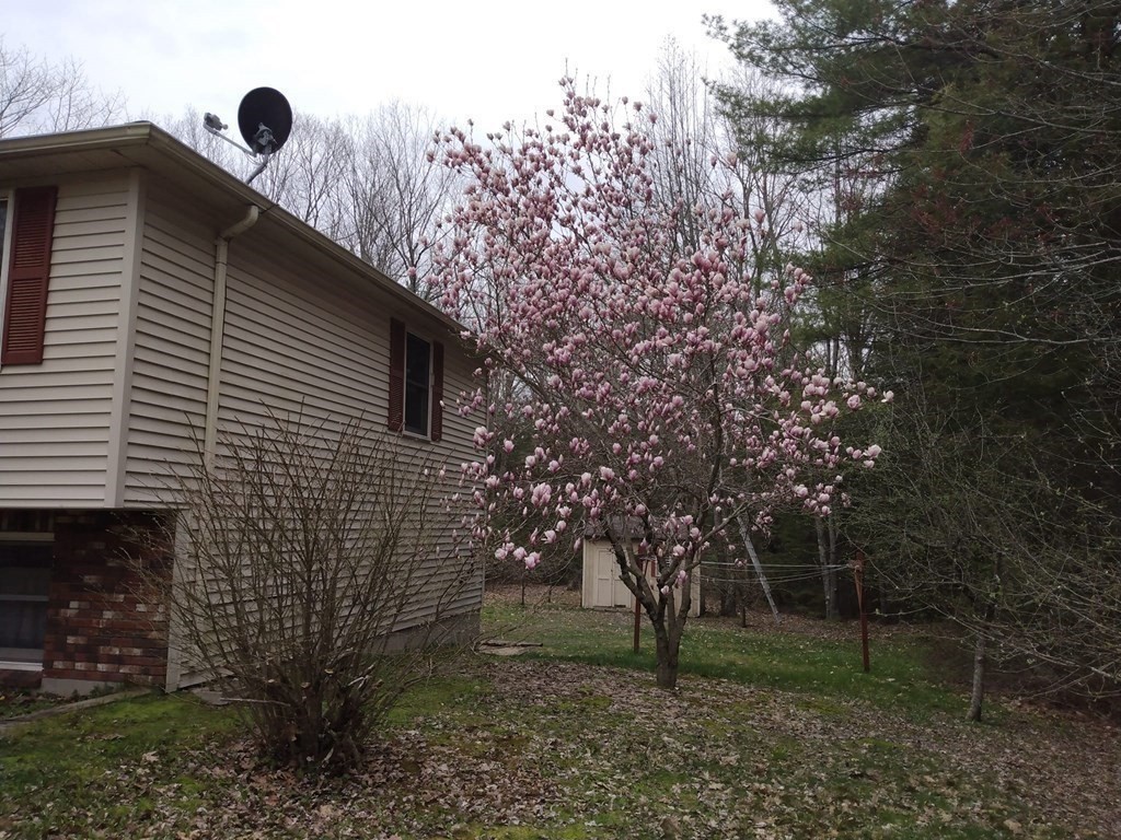 454 Forristall Road Winchendon, MA 01475 - Photo 18 of 20