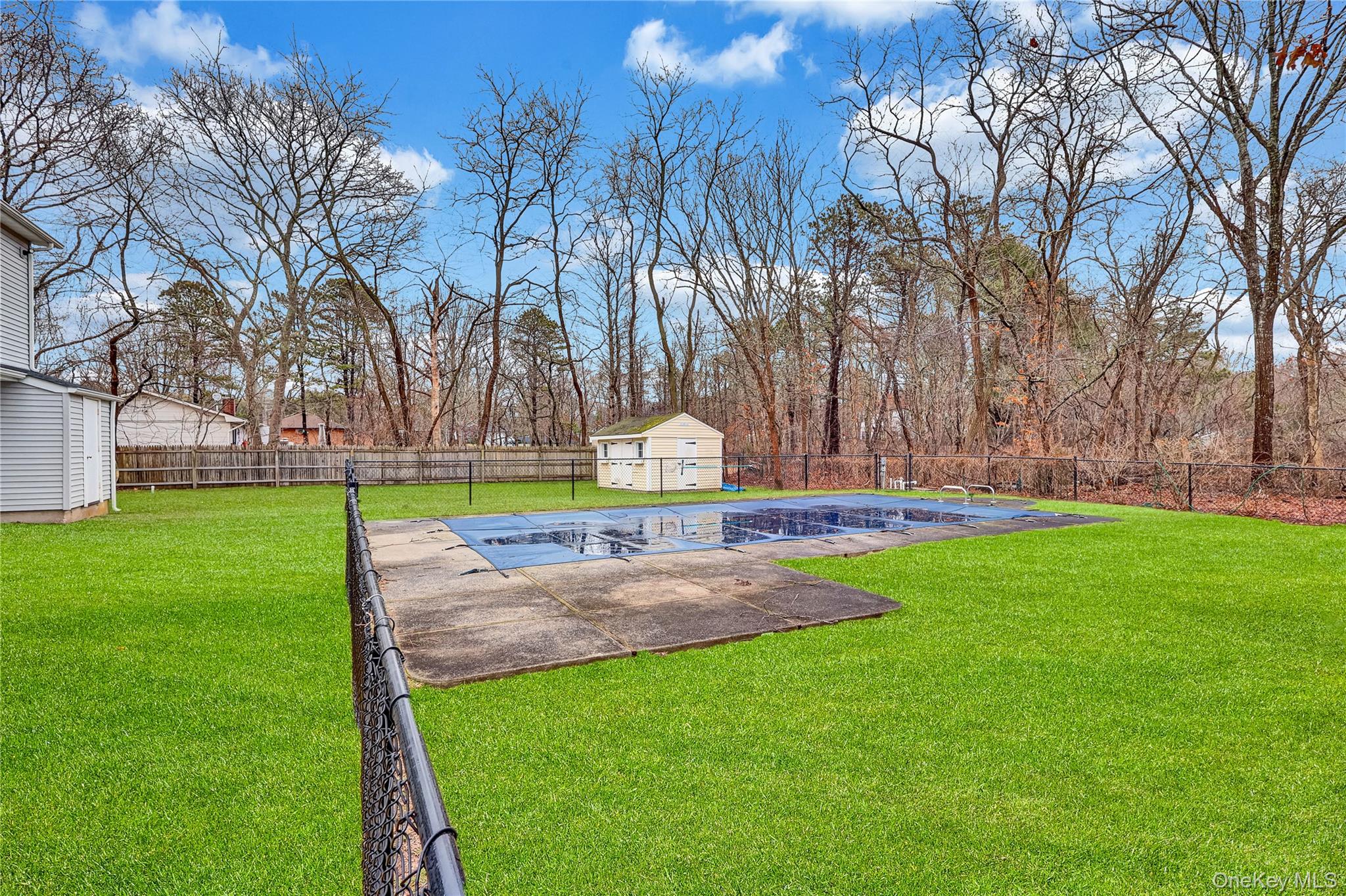 2 7th Street Center Moriches, NY 11934 - Photo 25 of 28 a small garden and tall trees