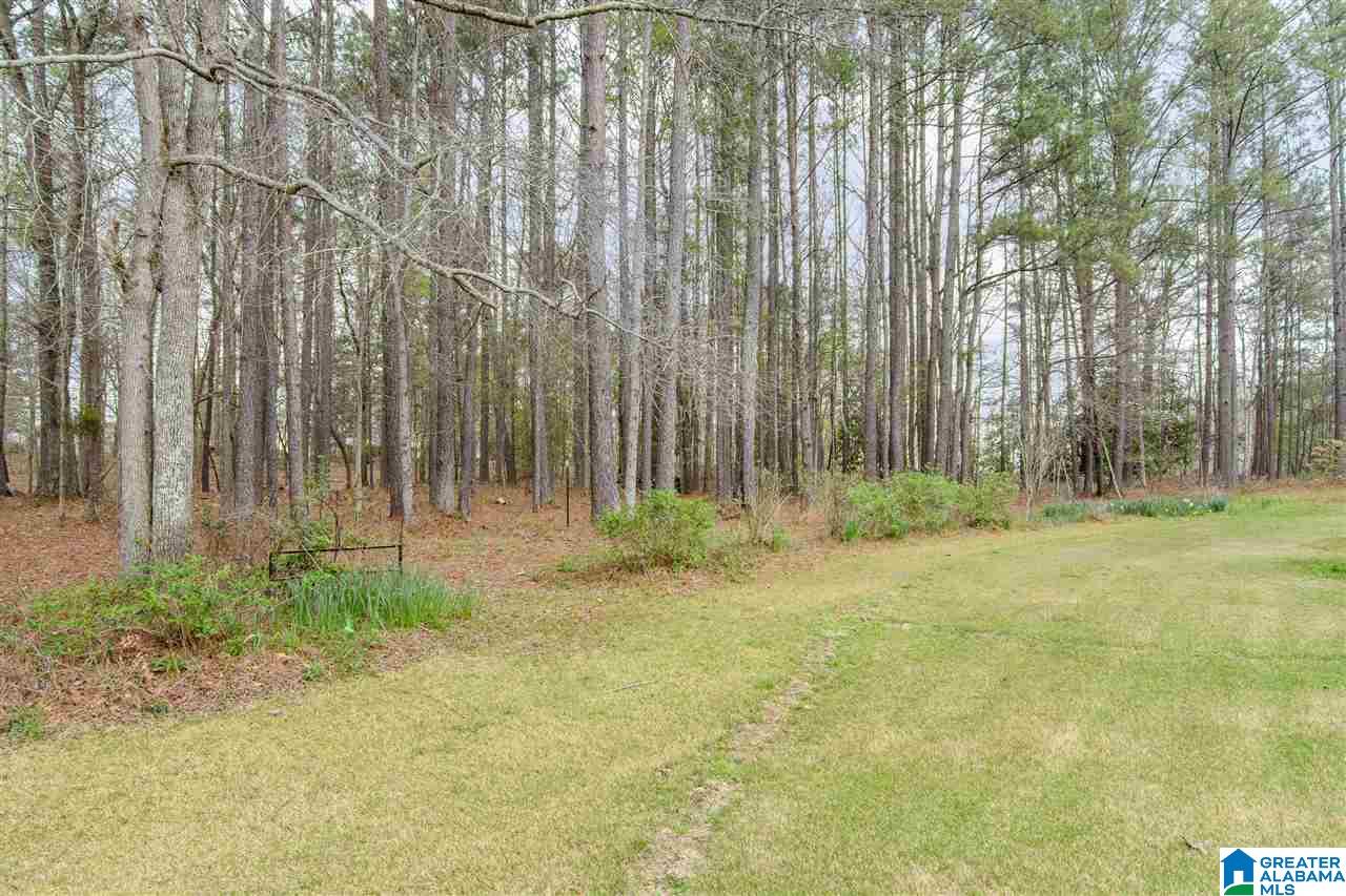 331 Highway 36 Chelsea, AL 35043 - Photo 36 of 36