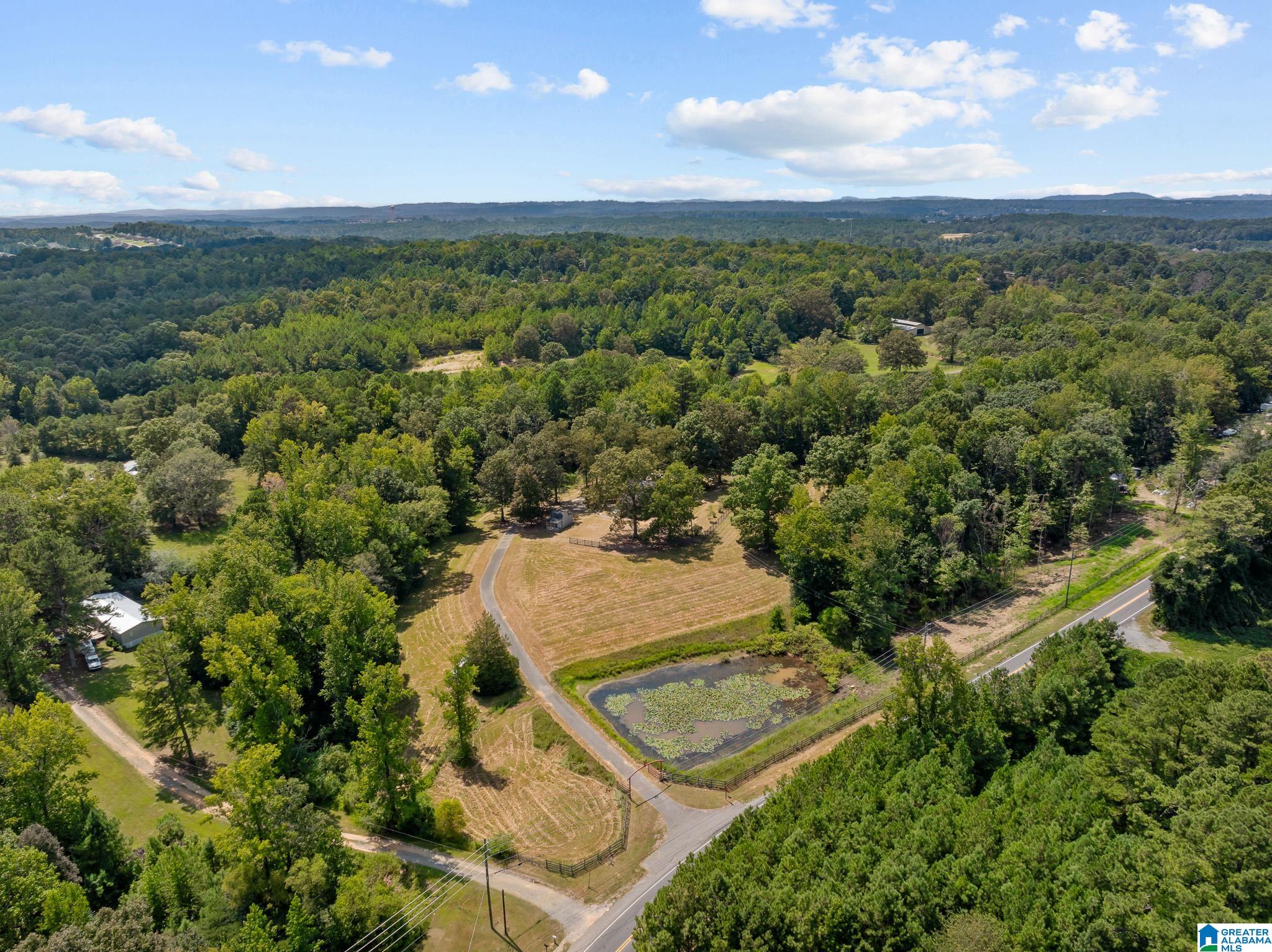 1695 Sanie Road Odenville, AL 35120 - Photo 40 of 63