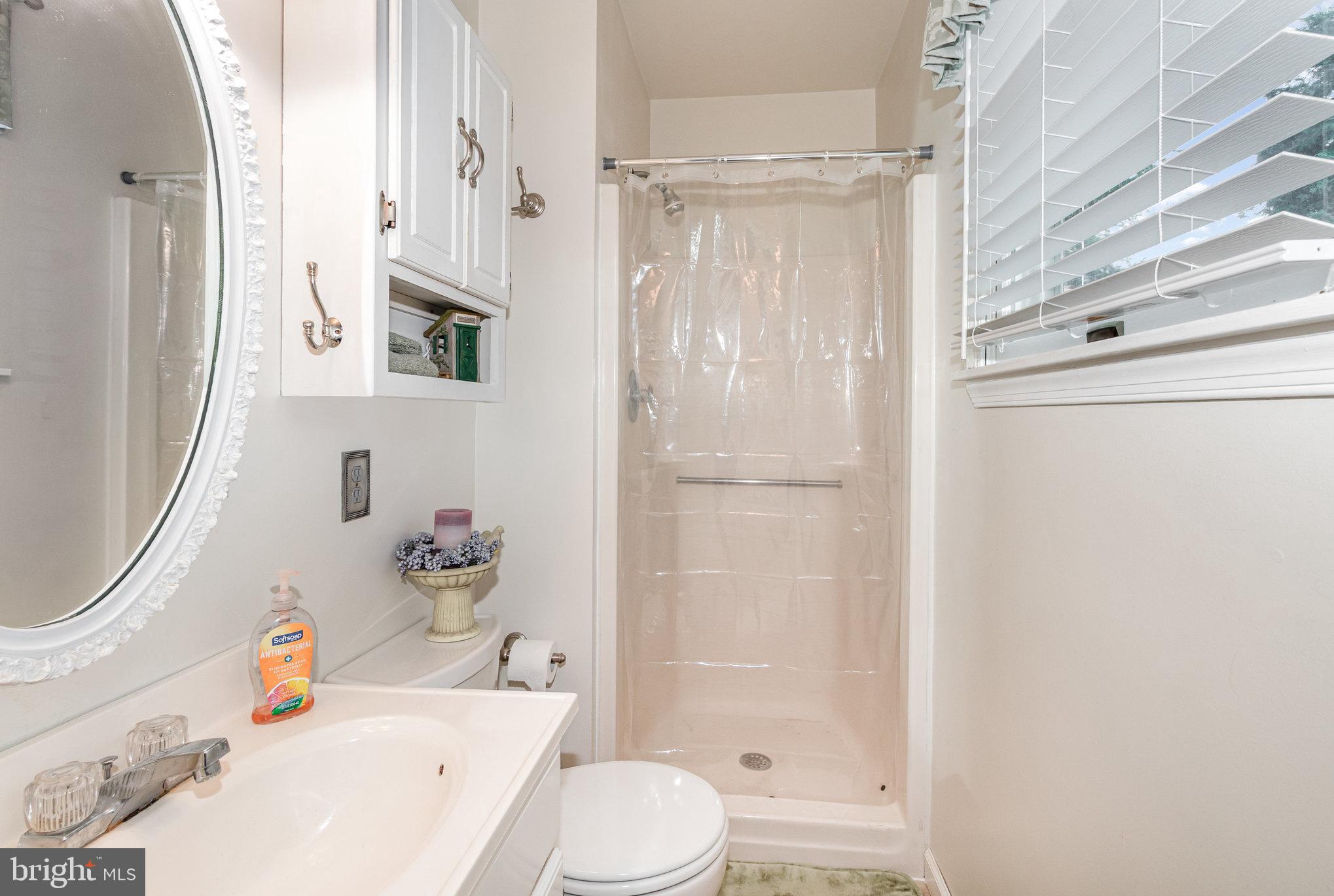 21 Cardinal Drive Carlisle, PA 17015 - Photo 13 of 33 a bathroom with a sink toilet and shower