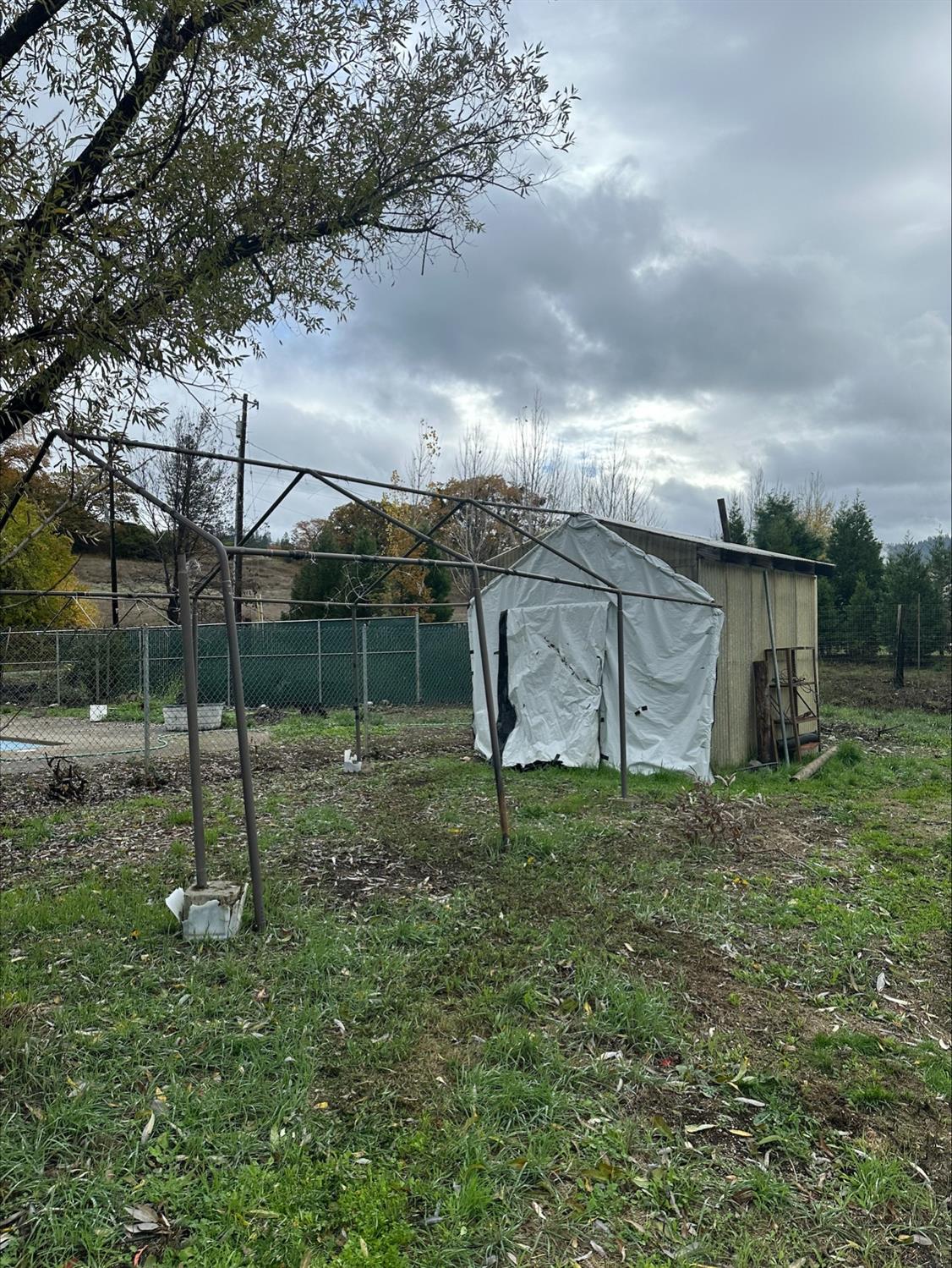 581 Garrett Road Hyampom, CA 96046 - Photo 12 of 45 a green field covered with tall trees