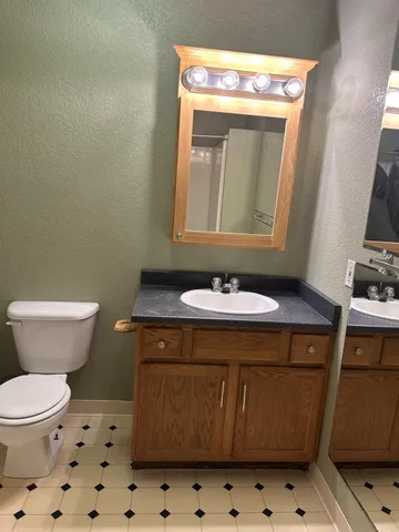 a bathroom with a sink a toilet and a mirror