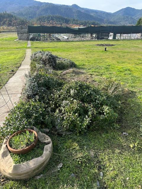 581 Garrett Road Hyampom, CA 96046 - Photo 10 of 45 a view of a swimming pool and a lake view