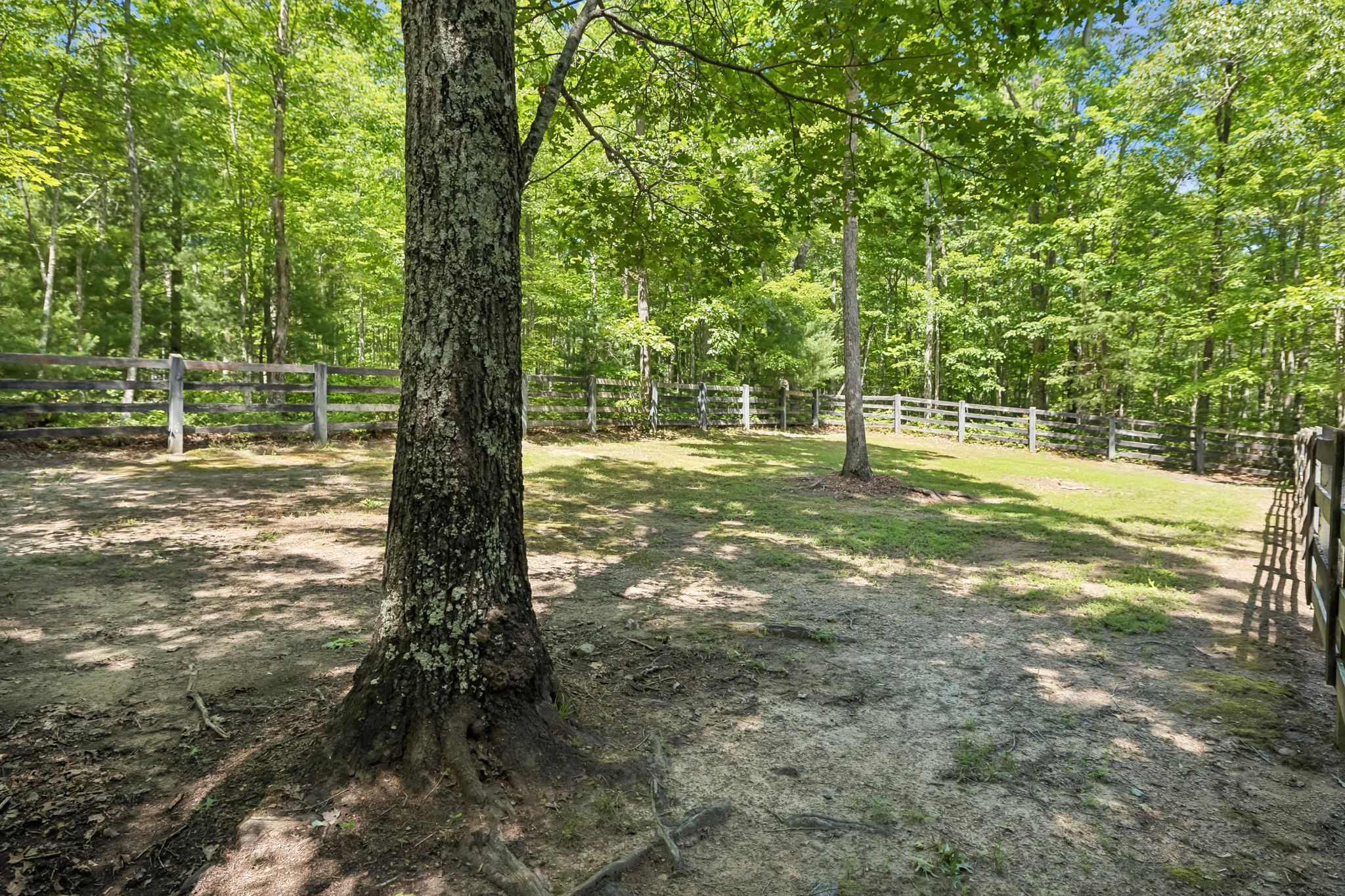 340 Doe Ridge Road Oneida, TN 37841 - Photo 76 of 99