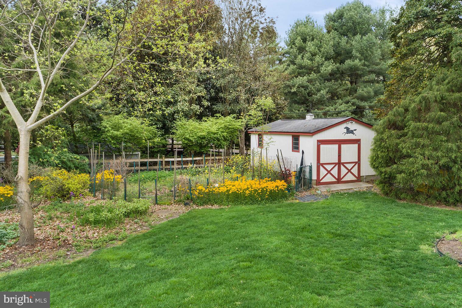 371 North Ferry Point Road Pasadena, MD 21122 - Photo 46 of 50 Shed for all the lawn equipment