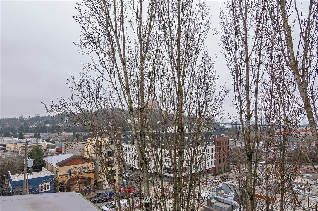 1620 South Lane Street, Unit F Seattle, WA 98144 - Photo 23 of 24 Gallery Image 23