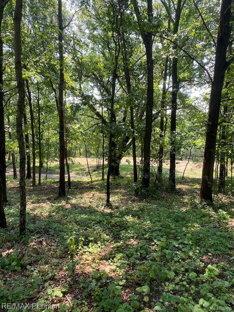 7 Sleaford-parcel 7 - 2 Acres Road Howell, MI 48843 - Photo 25 of 45