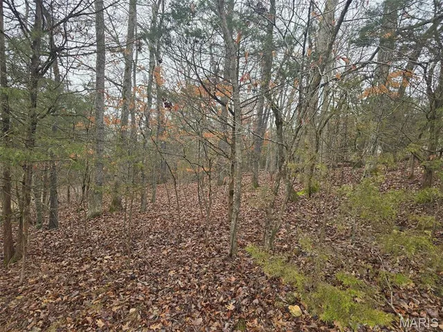 $14,000 | 0 Fez Terrace, Rockaway Beach, MO 65740