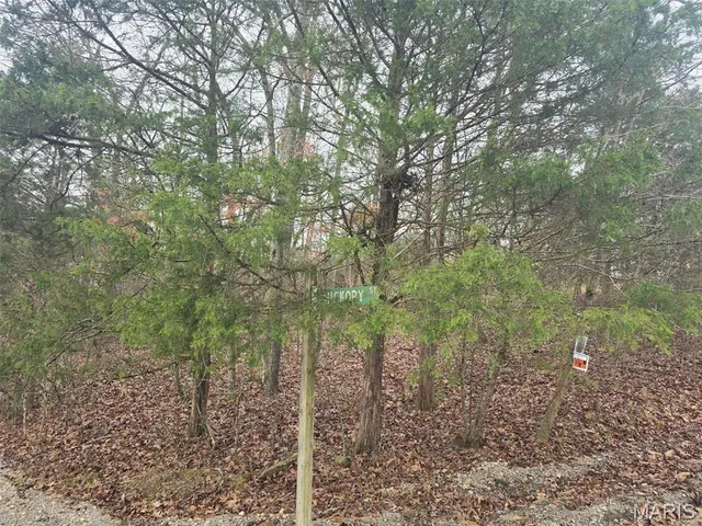 $14,000 | 0 Fez Terrace, Rockaway Beach, MO 65740