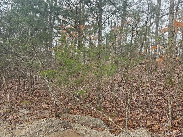 $14,000 | 0 Fez Terrace, Rockaway Beach, MO 65740