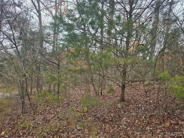 $14,000 | 0 Fez Terrace, Rockaway Beach, MO 65740