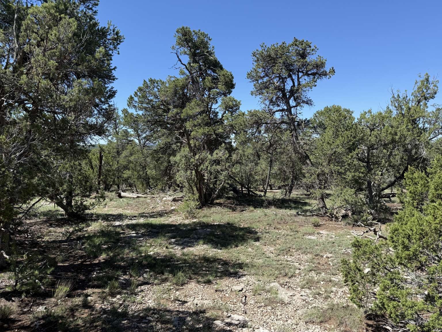 81 Felsic Road Grants, NM 87020 - Photo 19 of 33 Gallery Image 19