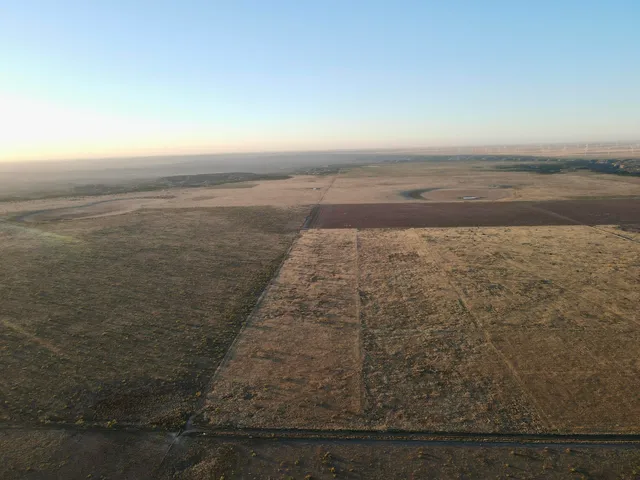 a view of a field with trees in background