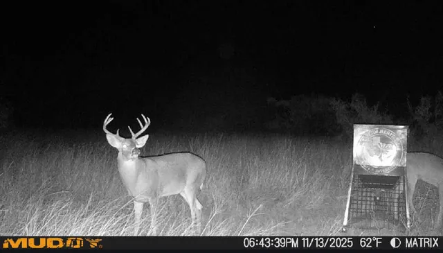 $140,000 | 80-acres County Road G, Silverton, TX 79257