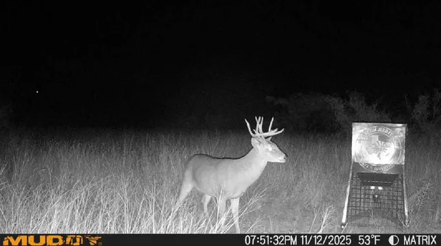 $140,000 | 80-acres County Road G, Silverton, TX 79257