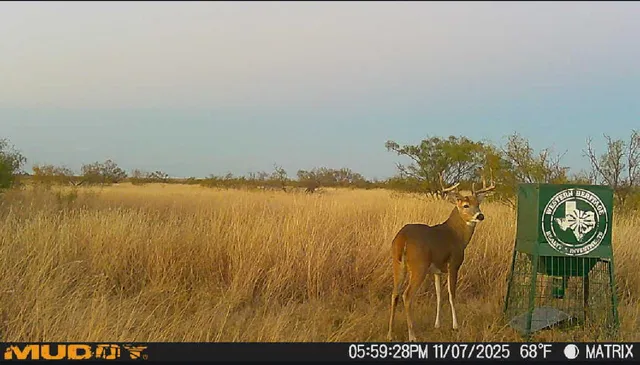 $140,000 | 80-acres County Road G, Silverton, TX 79257