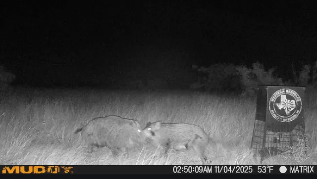 $140,000 | 80-acres County Road G, Silverton, TX 79257