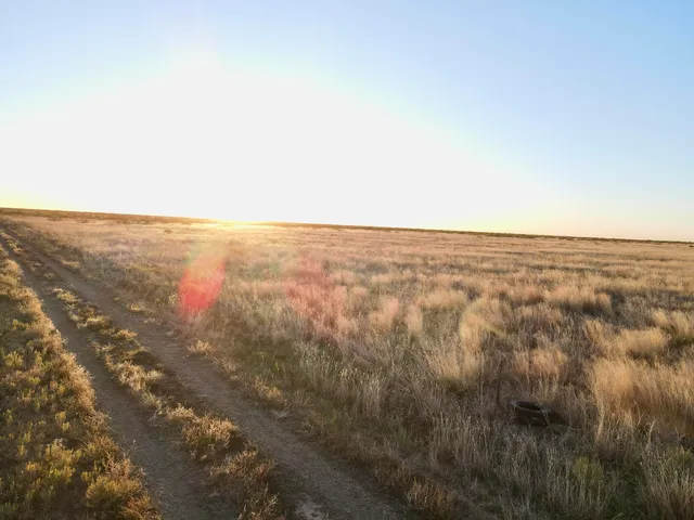 a view of a lake with mountains in the background