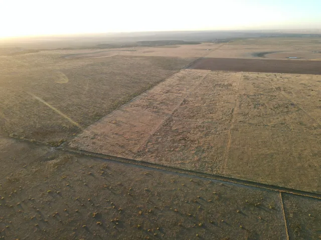 a view of a lake in middle of forest